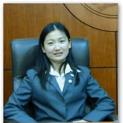 Kelly Honglei Bu