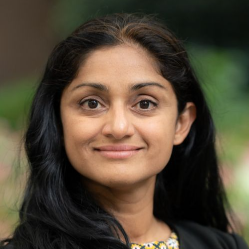 Pradnya Desh